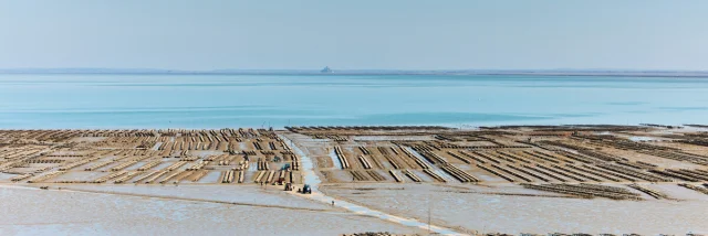 Alexandre Lamoureux - Cancale