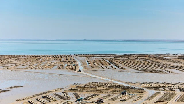 Cancale parcs à huîtres