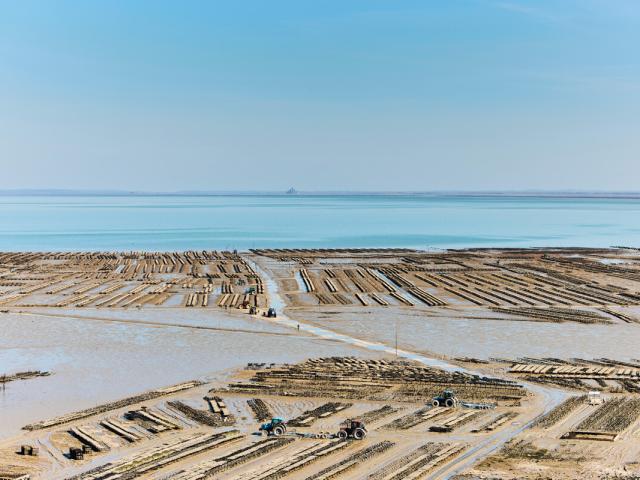 Cancale parcs à huîtres