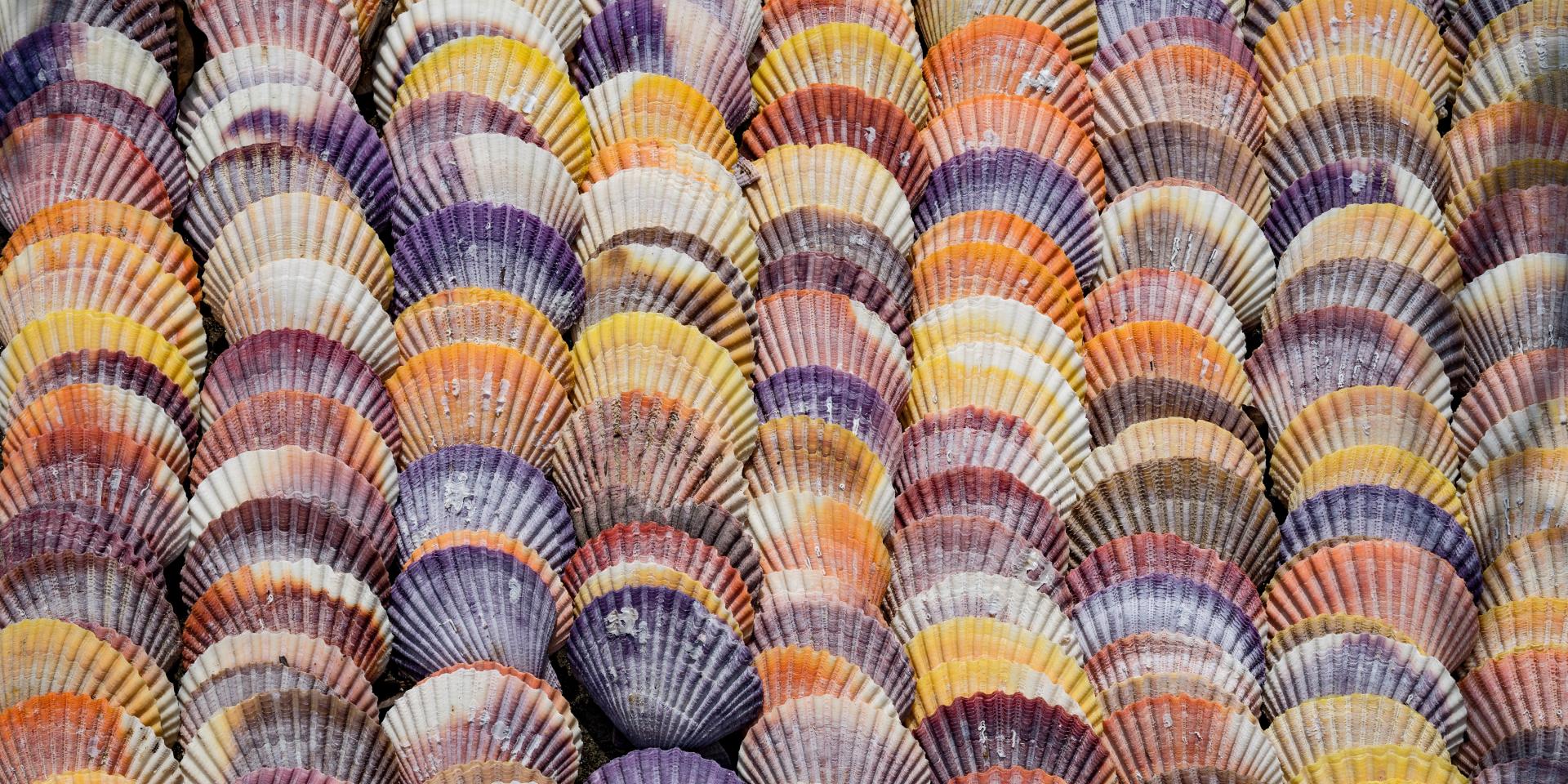 hiroyoshi-urushima-OUzZopm4hvU-unsplash