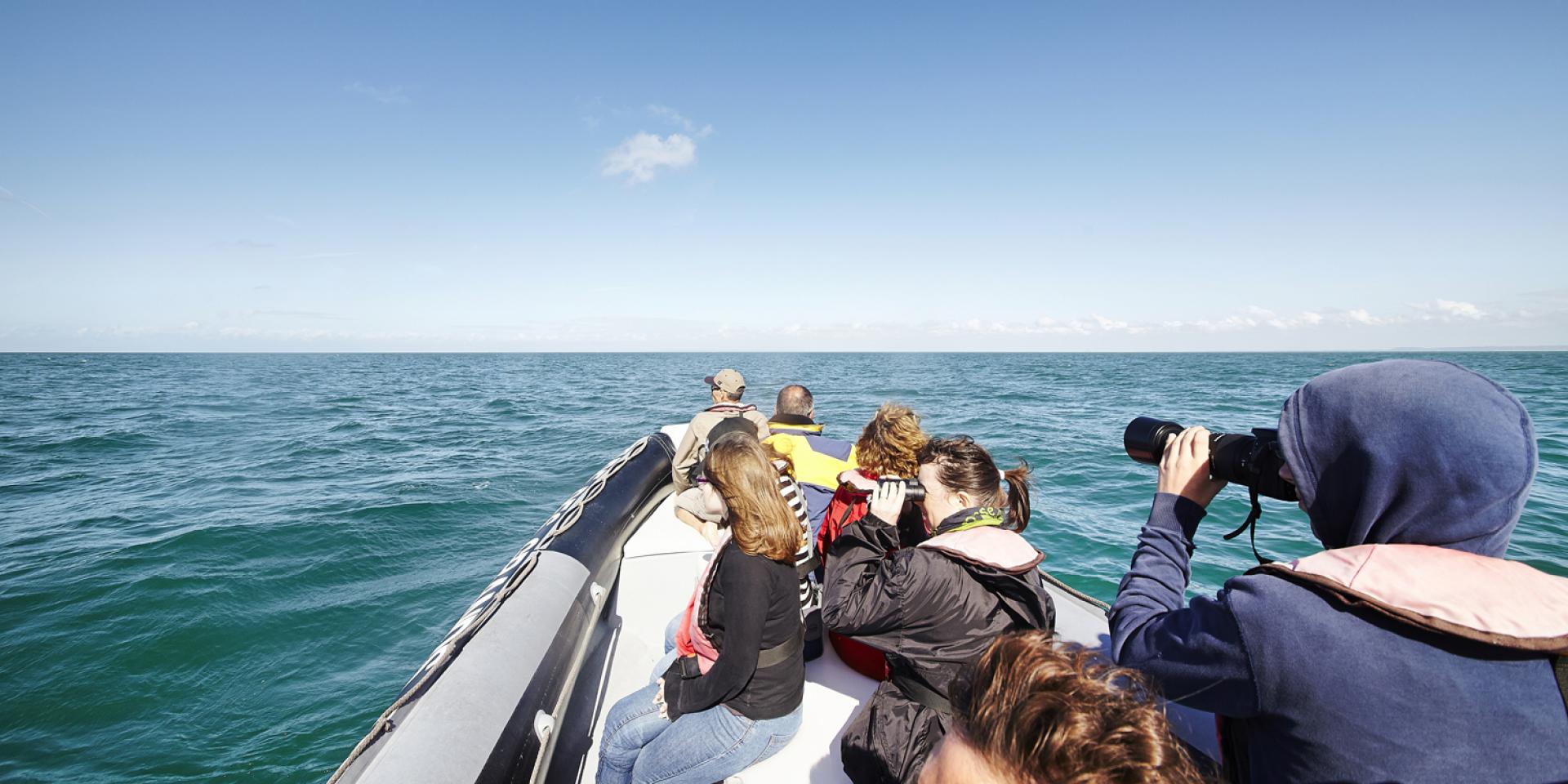 ©aLamoureux - Stroll in the sea Cancale (6)