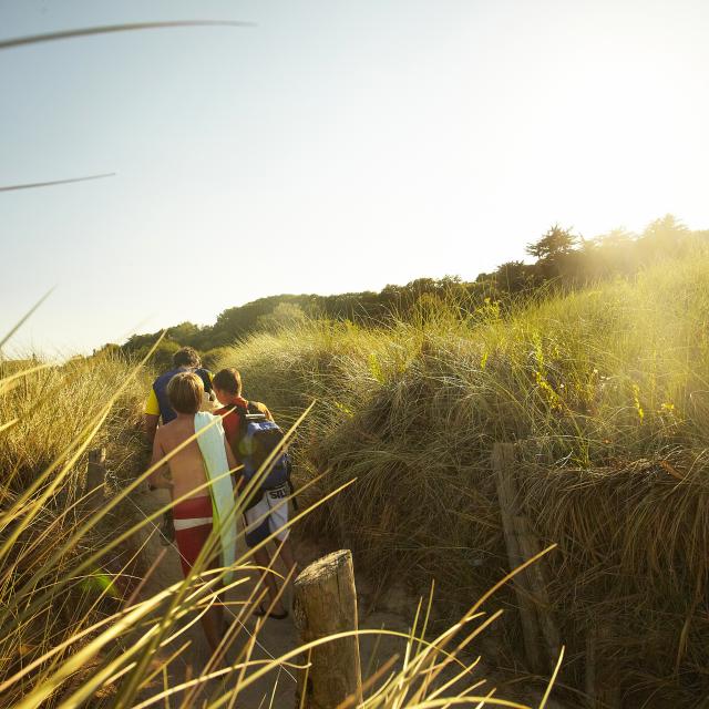 Dünen_von_Roz_Ven_-_St_Coulomb-Alexandre_Lamoureux-8592