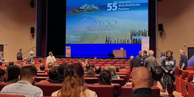 Auditorium 2