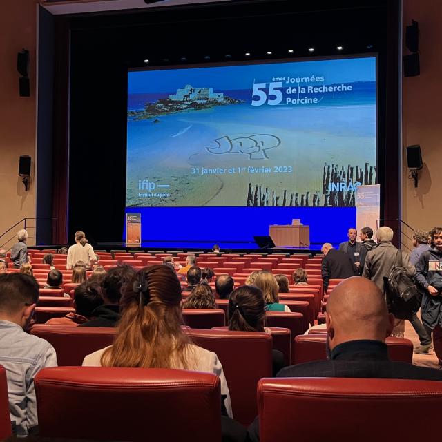 Auditorium 2