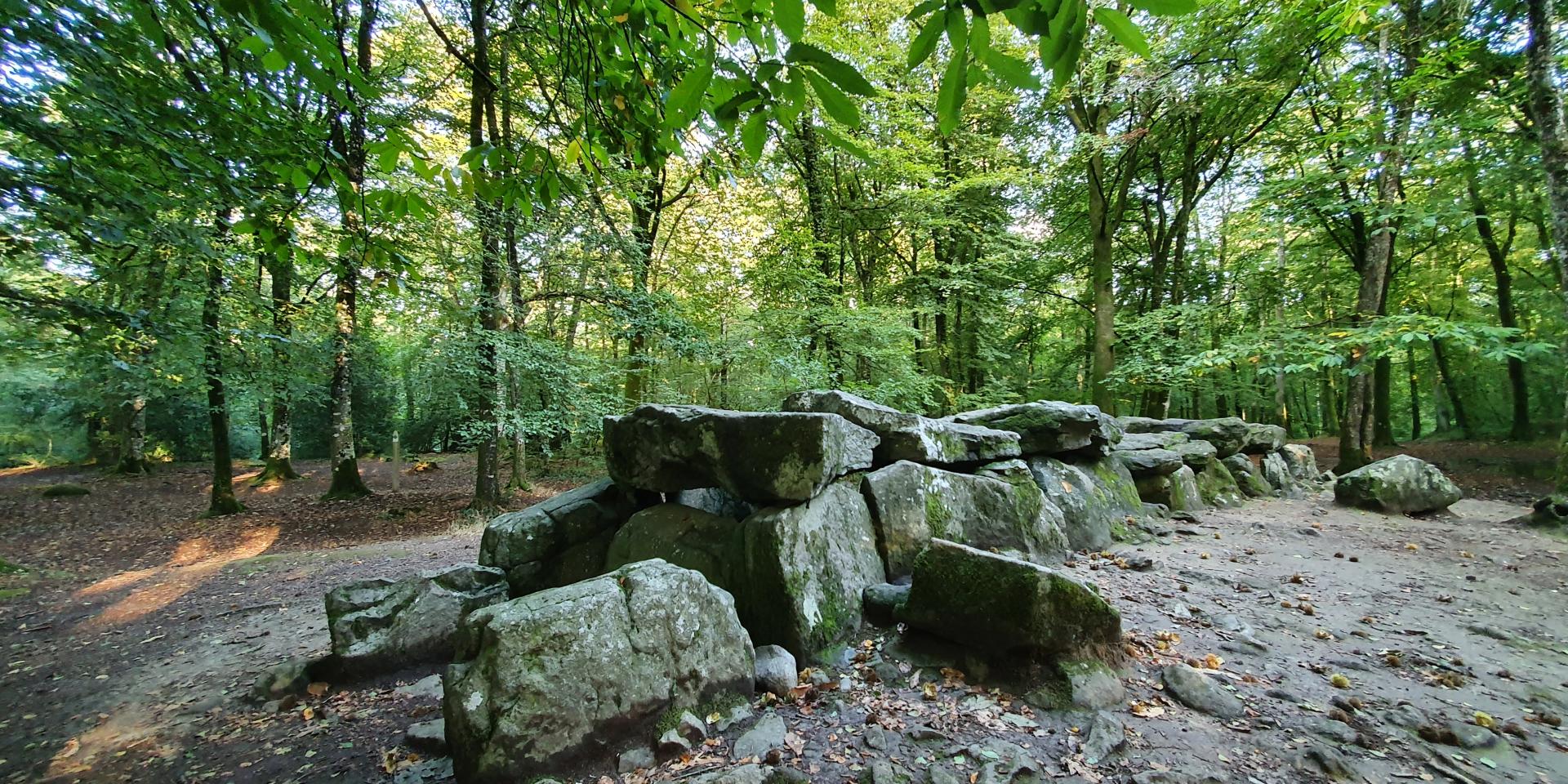 Allée couverte - Forêt de Tressé - Tressé