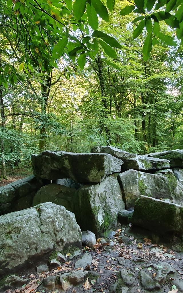 ©SMBMSM - Allée couverte - Forêt de Tressé - Tressé