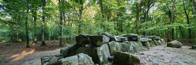 ©SMBMSM - Allée couverte - Forêt de Tressé - Tressé