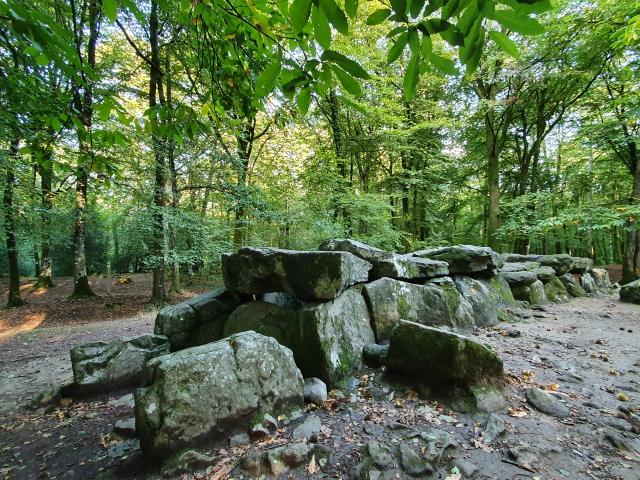 ©SMBMSM - Allée couverte - Forêt de Tressé - Tressé