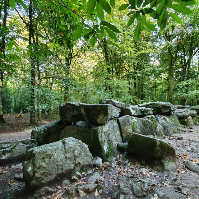 ©SMBMSM - Allée couverte - Forêt de Tressé - Tressé