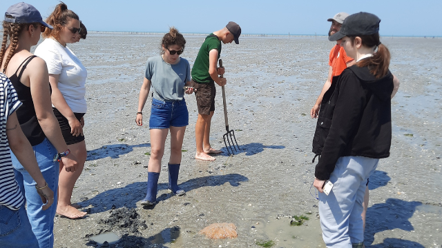 Eductours Conseillers En Sejour Maison De La Baie