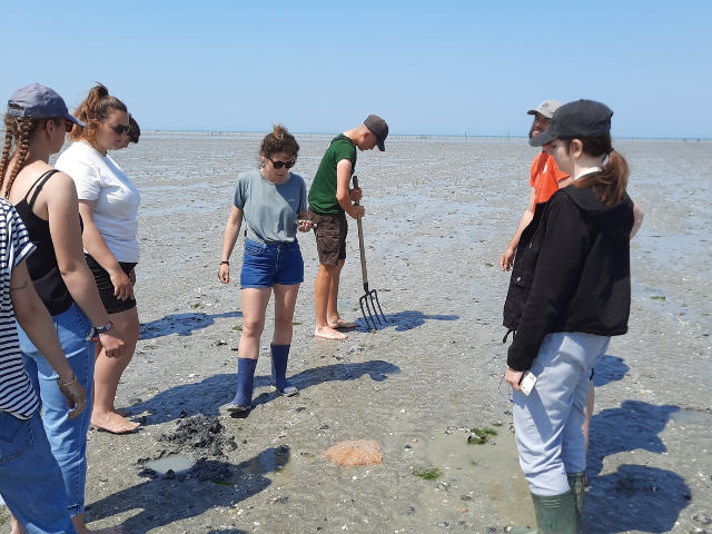 Eductours Conseillers En Sejour Maison De La Baie