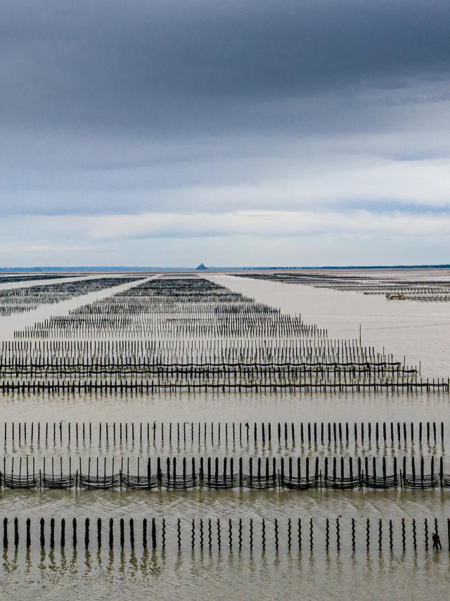 Pays de Dol , Baia di Mont-Saint-Michel