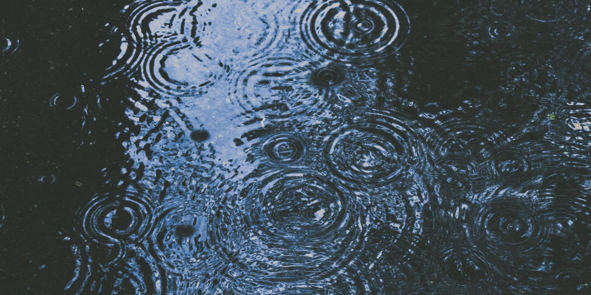 Alex Dukhanov Zxzqk7777r4 Unsplash