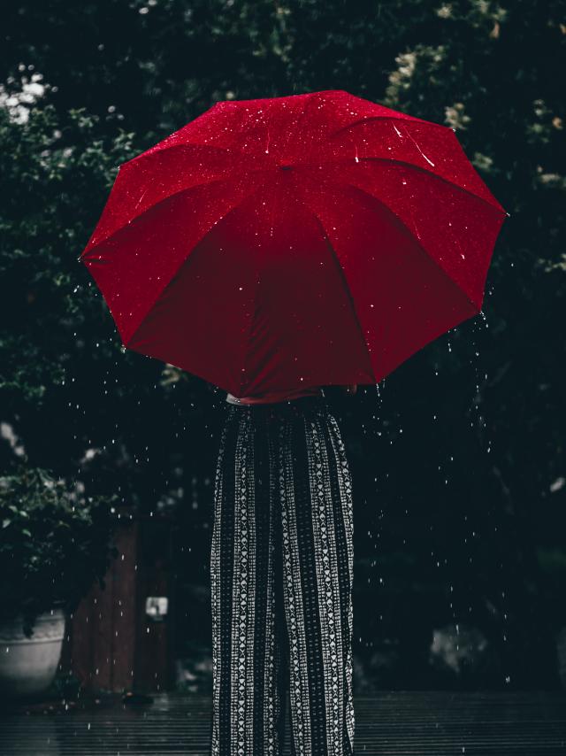 Aline De Nadai Motstck381i Unsplash