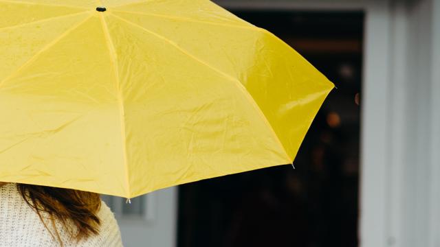 Nathan Anderson Yl9jmoxushu Unsplash