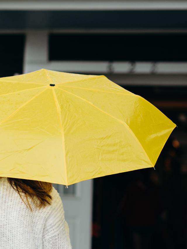 Nathan Anderson Yl9jmoxushu Unsplash