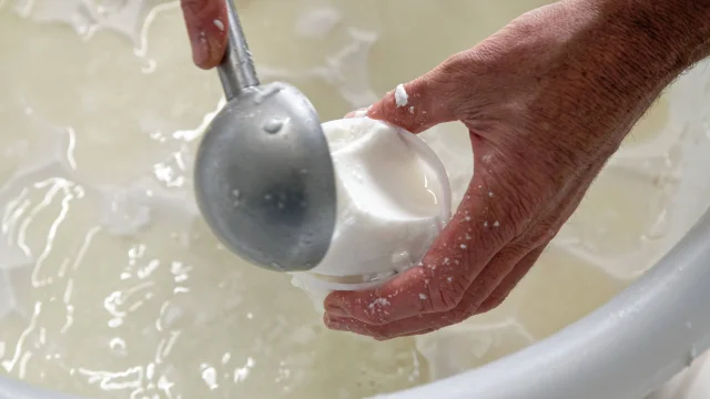 Lachevrerie De La Poterie Confection Fromage- fabrication et savoir faire