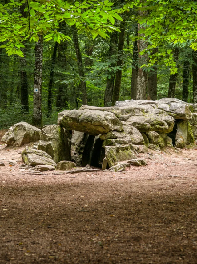 ©Rodolphe Marics - Bosque del Mesnil - Tressé