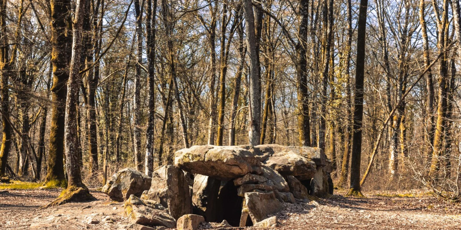 Allée couverte de la Roche aux fées en forêt du Mesnil