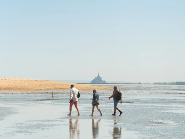 Sortie Nature Maison De La Baie Baie Du Mont Saint Michel Thibault Poriel 5086 1200px