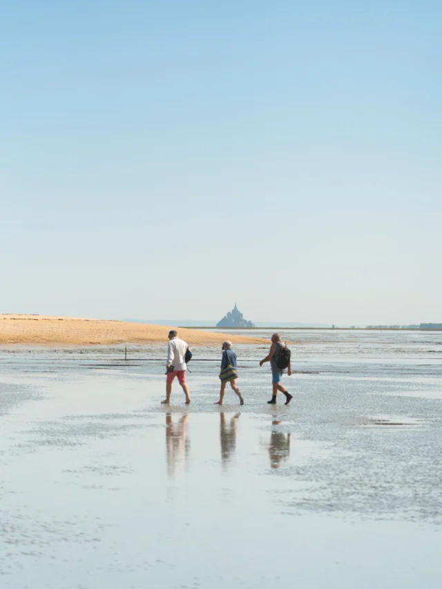 Natuuruitstapje Maison De La Baie Baie Du Mont Saint Michel Thibault Poriel 5086 1200px