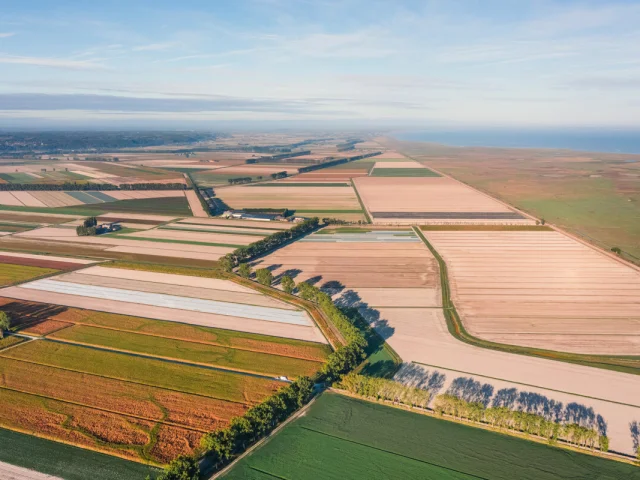 Vue Drone Polders Baie Du Mont Saint Michel Thibault Poriel 5098 1200px