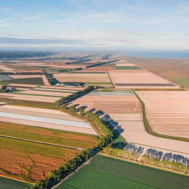 Vue Drone Polders Baie Du Mont Saint Michel Thibault Poriel 5098 1200px