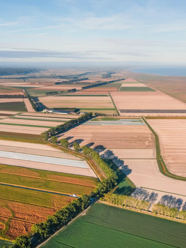 Ver Drone Polders Baie Du Mont Saint Michel Thibault Poriel 5098 1200px