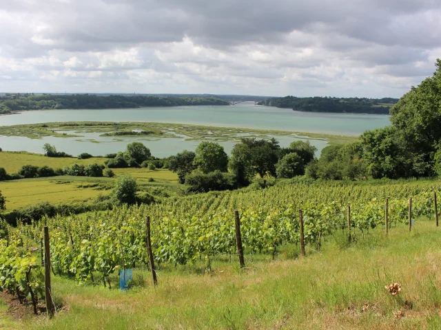 Vigneti di Mont Garrot e campo vichingo