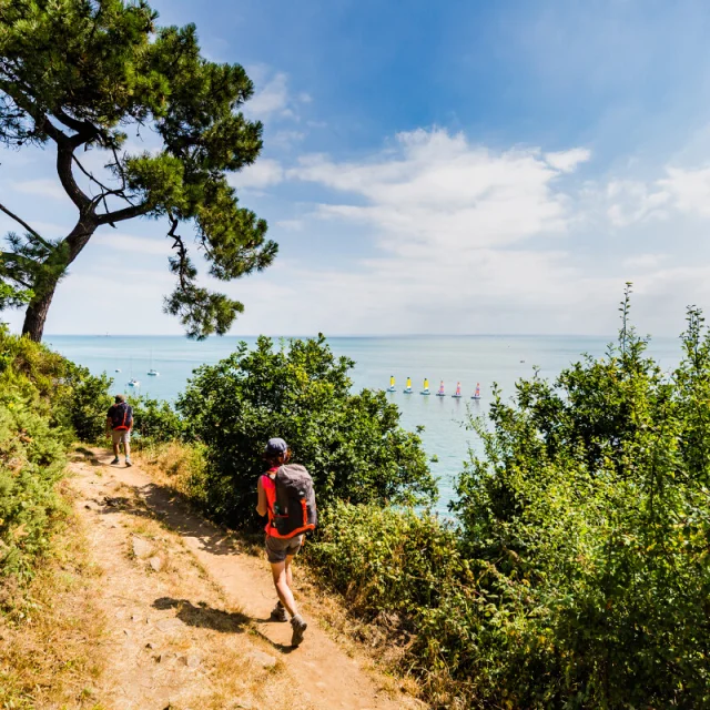 Promenade sur les sentiers de Cancale