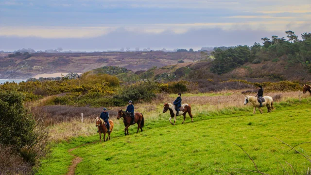 Balade à cheval - Les Douets Fleuris - Anse du Guesclin - Saint-Coulomb