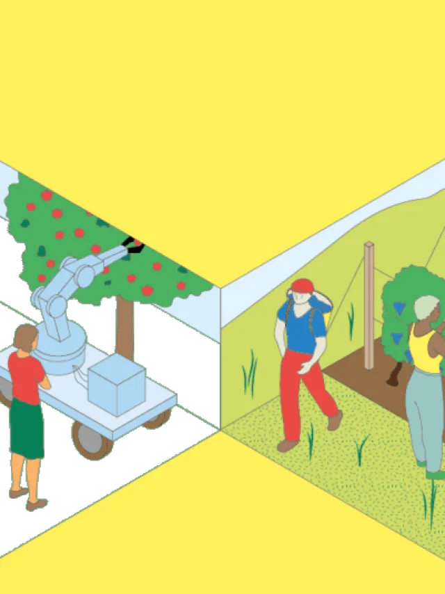 Nationale Tage Der Landwirtschaft 2025