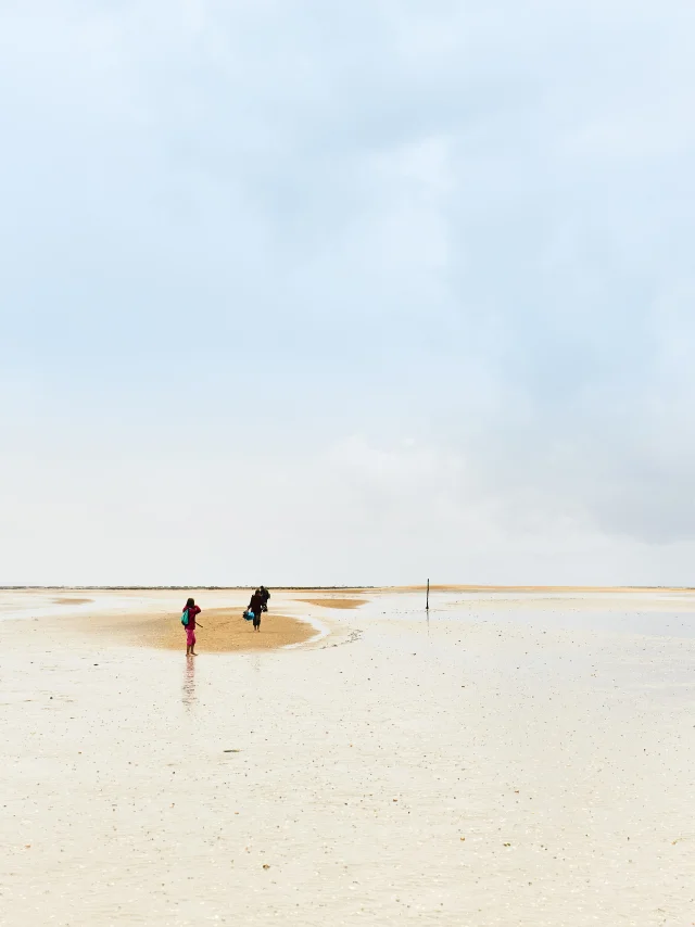 Naturausflug Auf Der Bank Des Hermelles Cherrueix Alexandre Lamoureux 14353