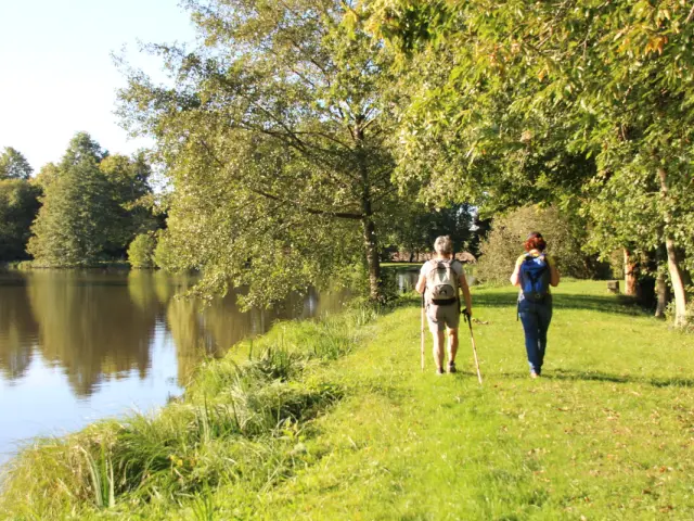 Randonnée près d'un étang à Trans la Forêt