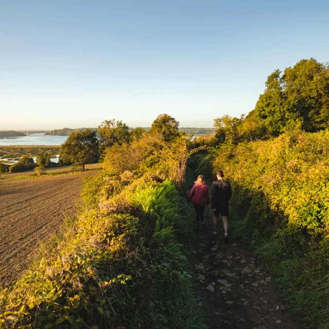 Vignes Du Clos Garrot Saint Suliac Thibault Poriel 5199 1200px