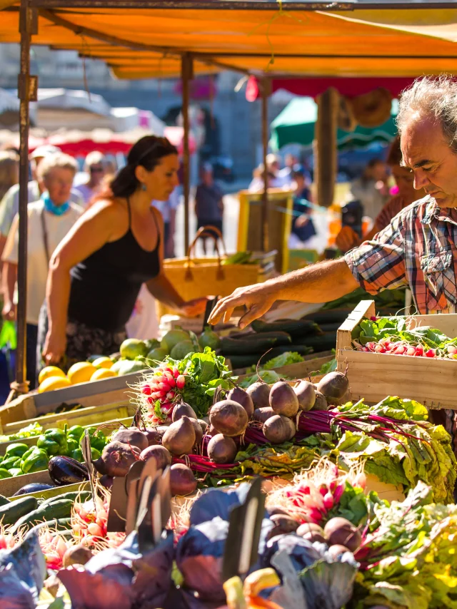Simon Bourcier - Dol-de-Bretagne