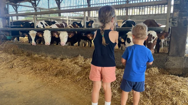 Visite Ferme
