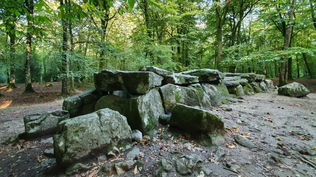 ©SMBMSM - Passerella coperta - Foresta di Tressé - Tressé