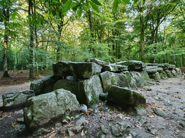 ©SMBMSM - Pasarela cubierta - Bosque de Tressé - Tressé