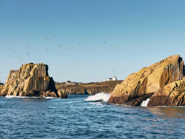 ©Alexandre Lamoureux - Cancale