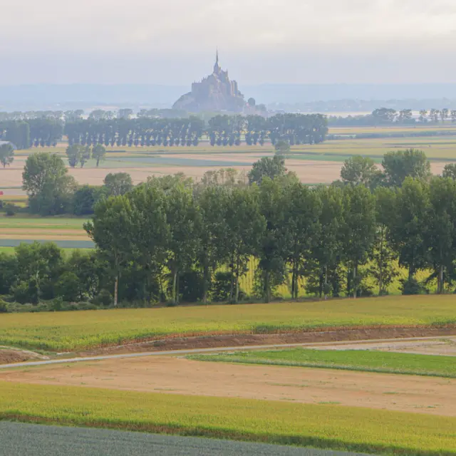 ©SMBMSM - Belvédère - Roz-sur-Couesnon