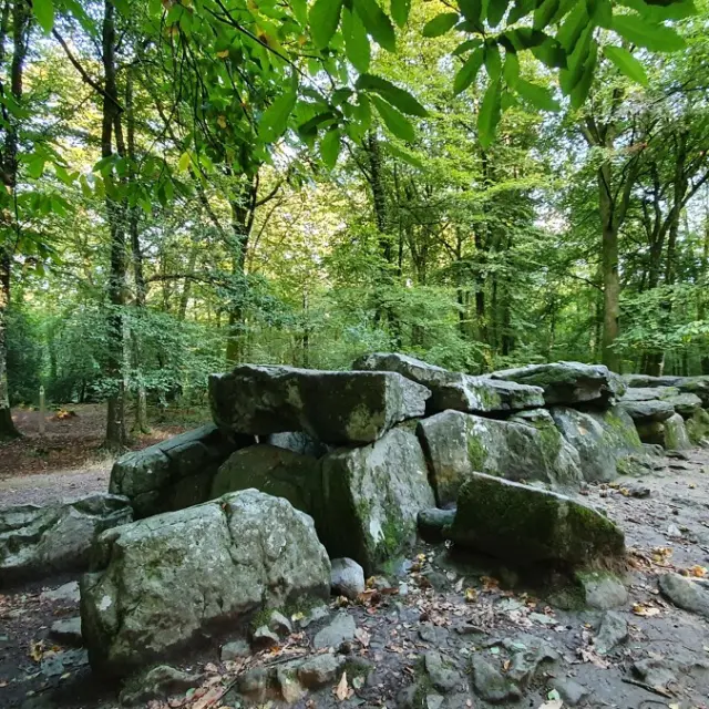 ©SMBMSM - Allée couverte - Forêt de Tressé - Tressé
