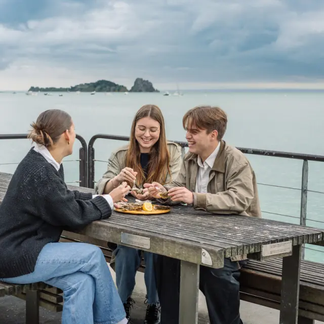 Photographe - vidéaste