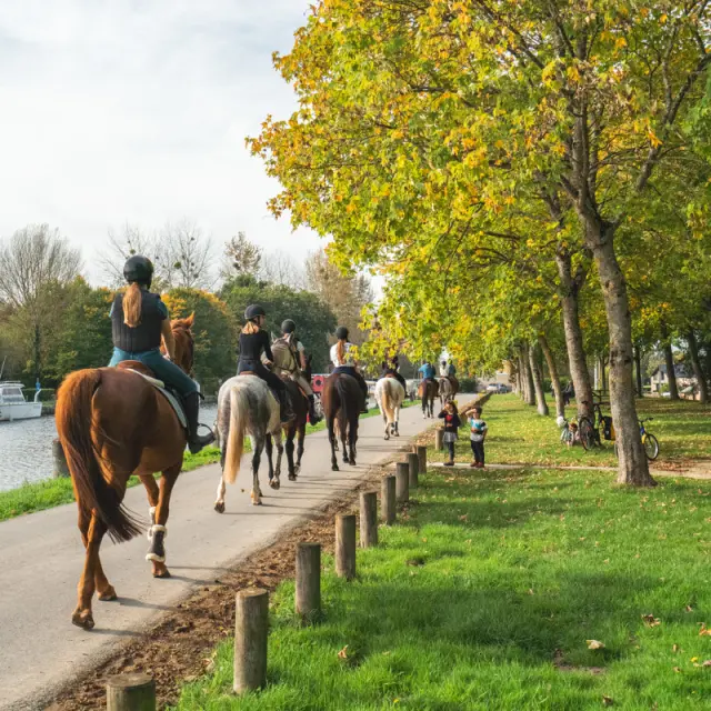 Balade A Cheval Canal D Ille Et Rance Hede Bazouges Thibault Poriel 4954 1200px