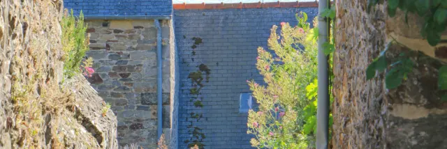 ©SMBMSM - Bourg - Saint-Suliac