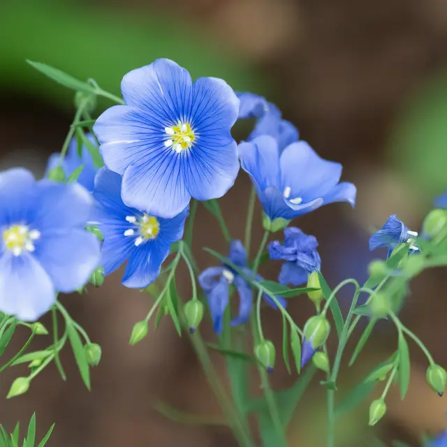 Cathy Holewinski Xcozda 9ixs Unsplash