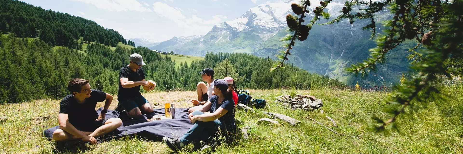 Summer picnic for the whole family