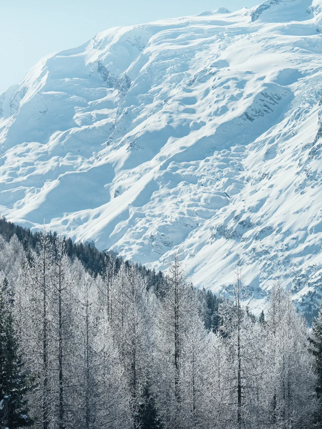 2023-01_SainteFoyTarentaise_PhotoDavidANDRE-DSC_1213.jpg