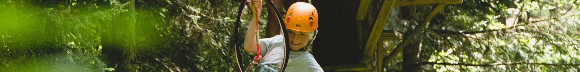 Tree climbing