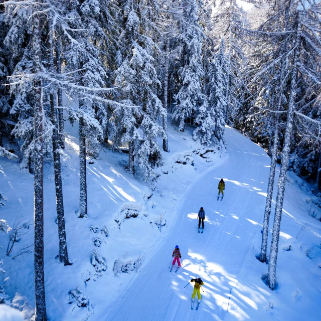 Skieurs entre les sapins sur les pistes enneigées de Sainte-Foy-Tarentaise